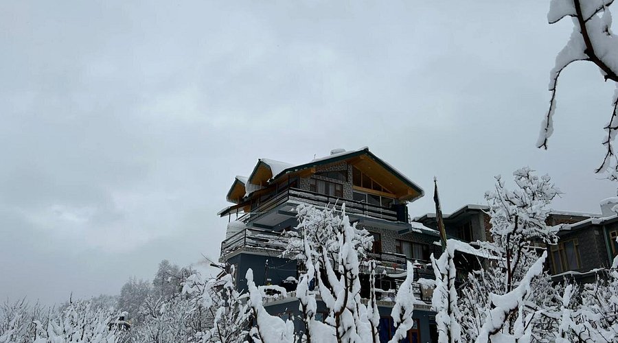 Manali valley resort