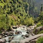 Himalaya Homestay Manali