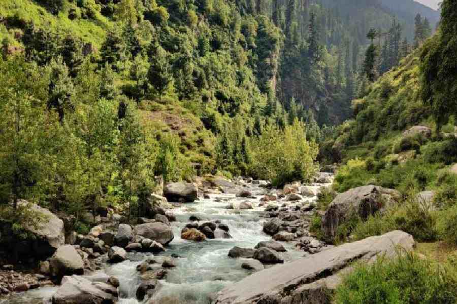 Himalaya Homestay Manali